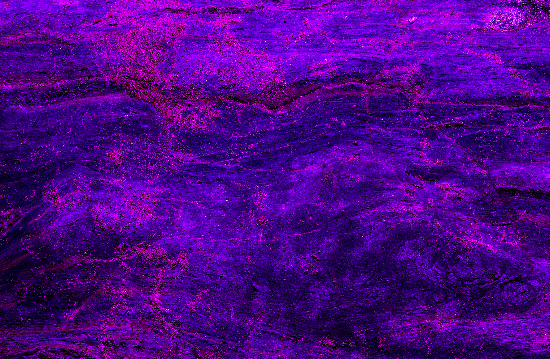 Neon Purple Abstract Background 
